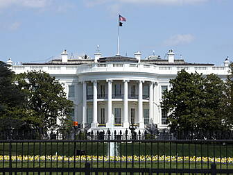 The Week Trending - Donald Tru...